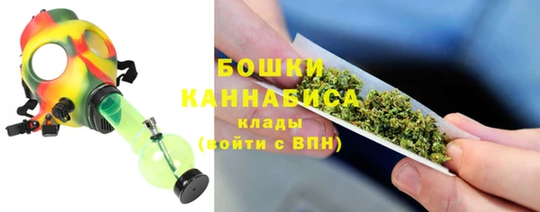 крисы Арсеньев