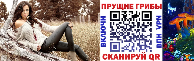 Псилоцибиновые грибы прущие грибы  купить наркотики цена  МЕГА как войти  Шацк 